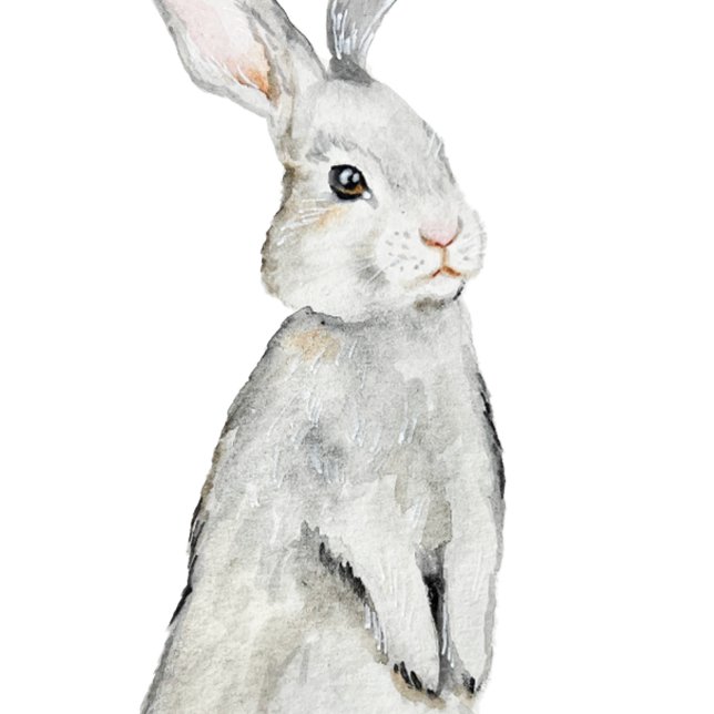 Póster Conejo de terciopelo divertido (Subido por el creador)
