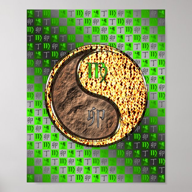 Póster Conejo de virus y fuego (Frente)