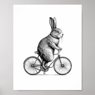 Póster Conejo En Bicicleta Bungalow Ciclismo Hombres En B