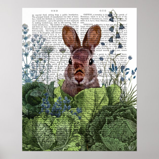 Póster Conejo en un parche de col (Frente)