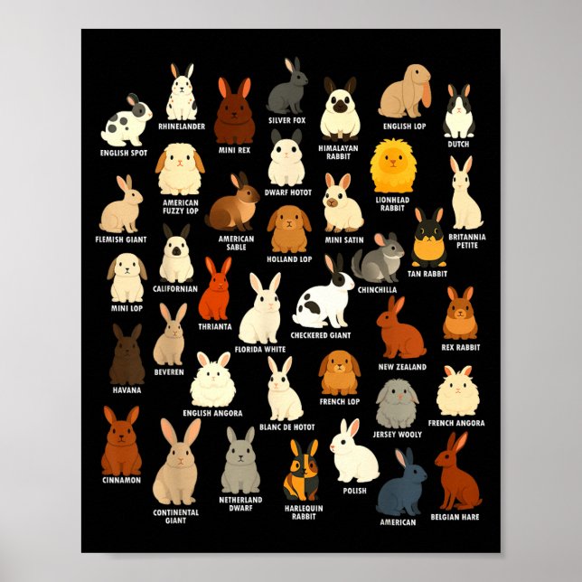 Póster Conejo Lindo Amante Cria Conejos (Frente)
