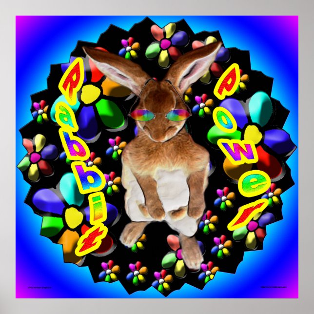 Póster Conejo retro (Frente)