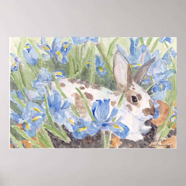 Póster Conejo visto en irlandeses en primavera (Frente)