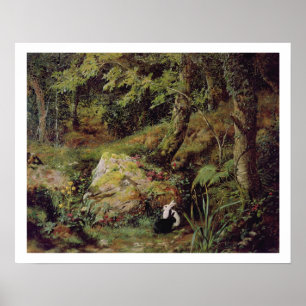 Póster Conejos perdidos