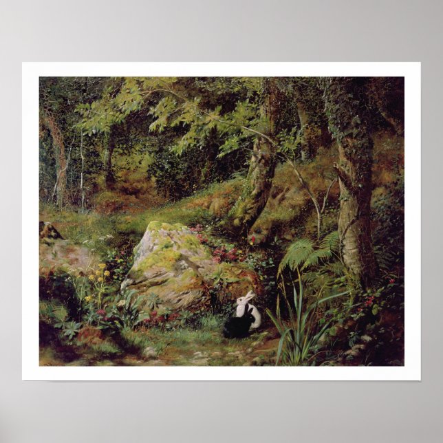 Póster Conejos perdidos (Frente)