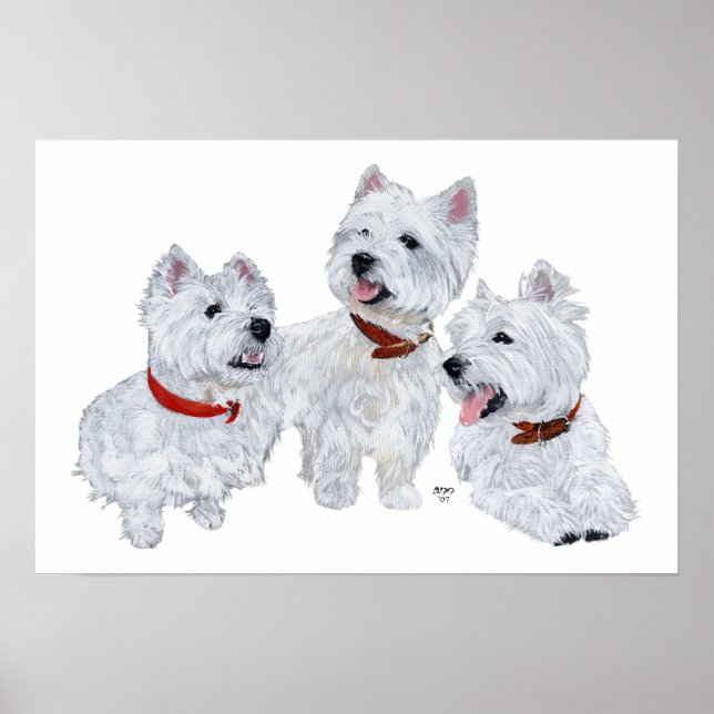 Póster Conferencia Westie (Frente)