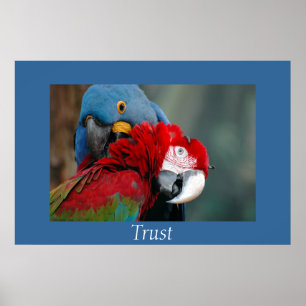 Póster Confiar
