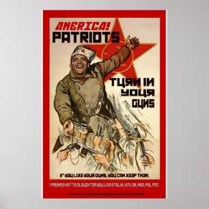 Póster Confiscación de armas - Segunda enmienda