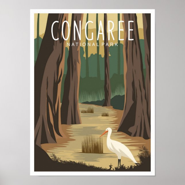 Póster Congaree National Park South Carolina Illustration (Frente)