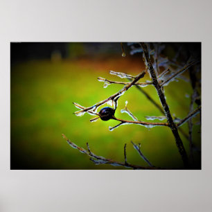 Póster Congelación de invierno,