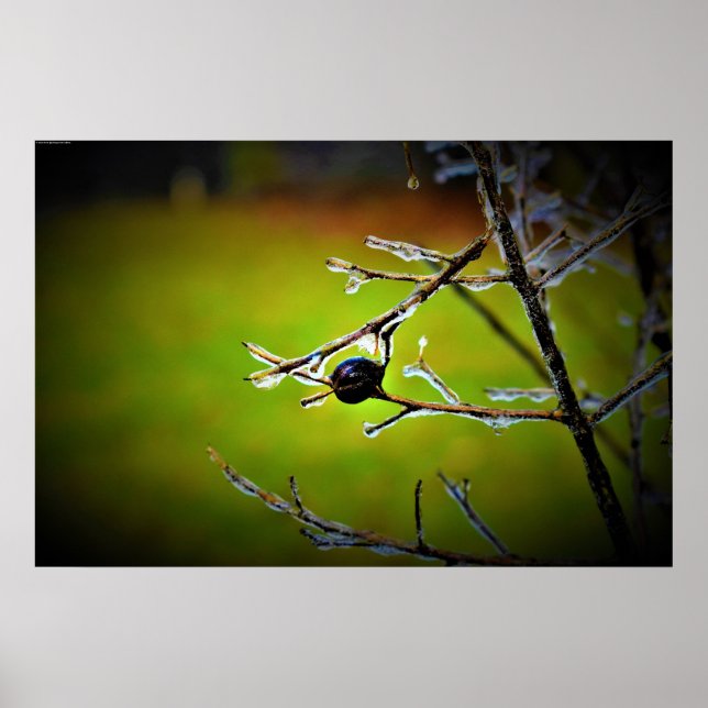 Póster Congelación de invierno, (Frente)