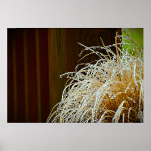 Póster Congelación de invierno,