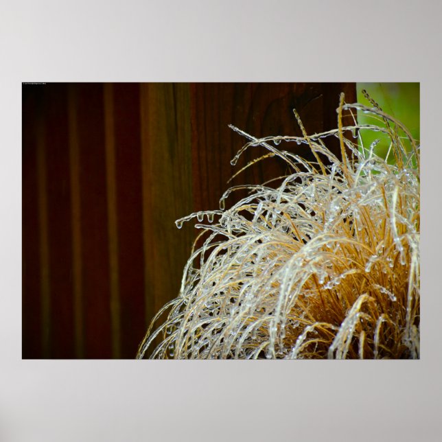 Póster Congelación de invierno, (Frente)