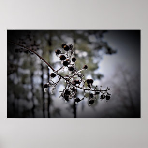 Póster Congelación de invierno,