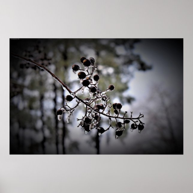 Póster Congelación de invierno, (Frente)