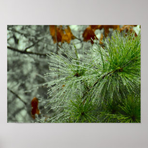 Póster Congelación de invierno,