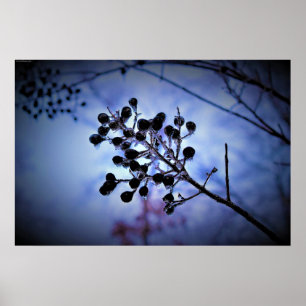 Póster Congelación de invierno,