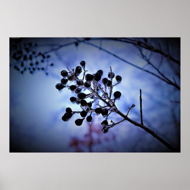 Póster Congelación de invierno, (Frente)