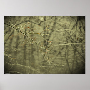 Póster Congelación de invierno,