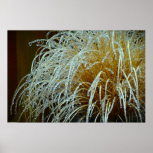 Póster Congelación de invierno,