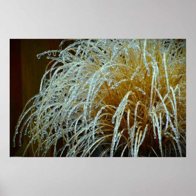 Póster Congelación de invierno, (Frente)