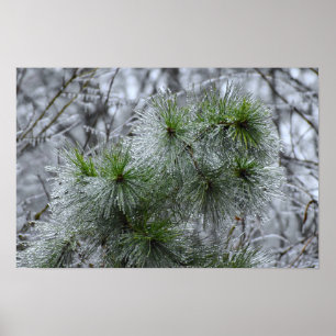 Póster Congelación de invierno,