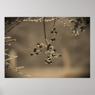 Póster Congelación de invierno,