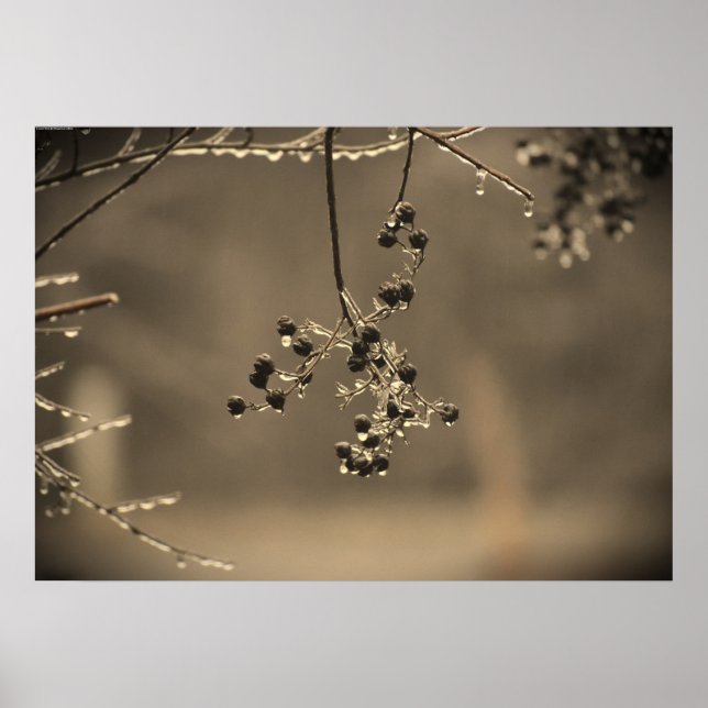 Póster Congelación de invierno, (Frente)