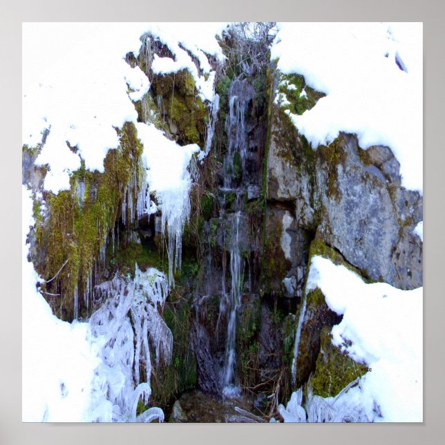 Póster Congelado a tiempo... (Frente)