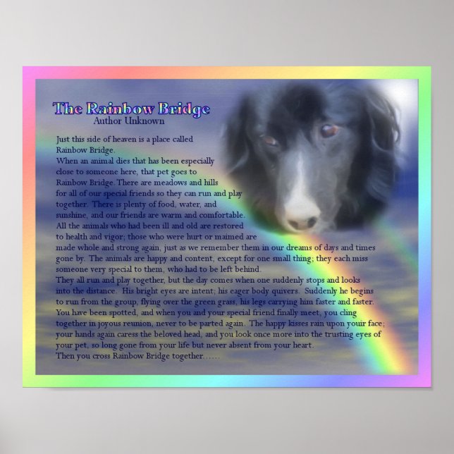Póster Conmemoración de la pérdida del poema Rainbow Brid (Frente)