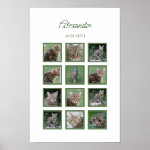 Póster conmemorativo personalizable para mascotas
