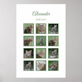 Póster conmemorativo personalizable para mascotas