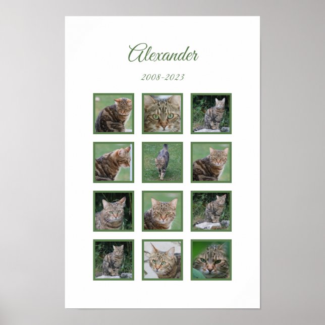 Póster conmemorativo personalizable para mascotas (Frente)