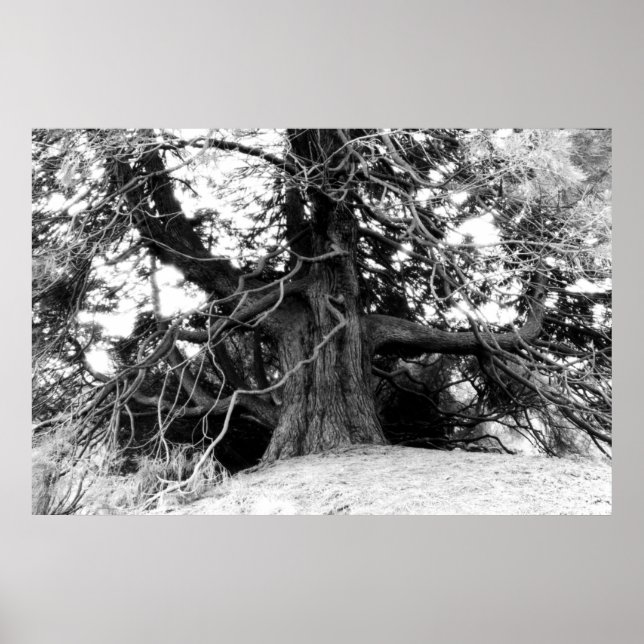 Póster Conocimiento (Frente)