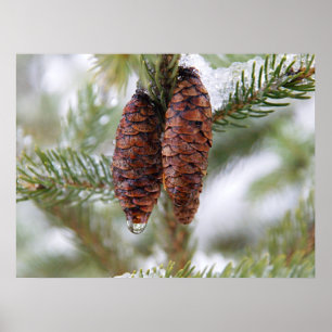 Póster Conos esmaltados