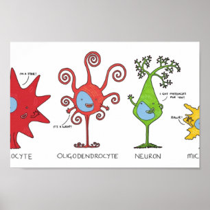 Póster Conozca a sus neuronas WIDE