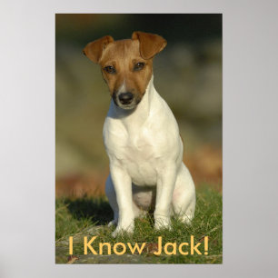 Póster ¡Conozco a Jack!