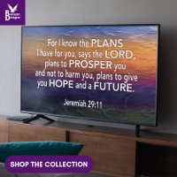 CONOZCO LOS PLANES Jer 29:11 Christian Frame Art T