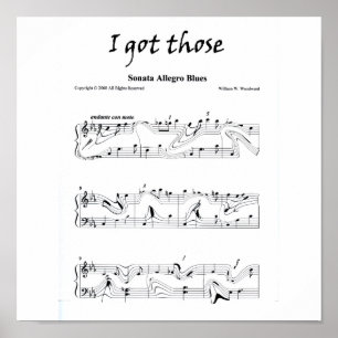 Póster Conseguí a ésos "sonata los azules allegro "