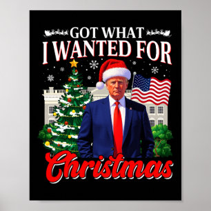 Póster Conseguí Lo Que Quería Para Los Navidades Donald T