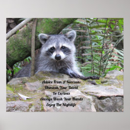 Póster Consejo De Un Poster De Raccoon