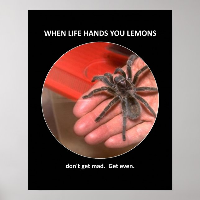 Póster Consejos divertidos: No te pongas loco (Frente)