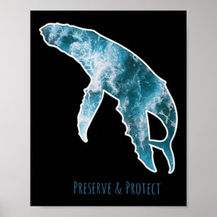 Póster Conservación de la Naturaleza Protección del Medio