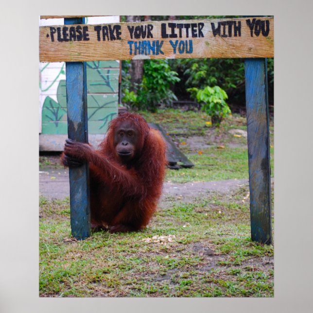 Póster Conservación de la vida silvestre contra basura y  (Frente)