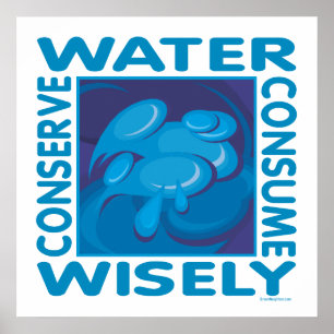 Póster Conservar el agua - Utilizar sabiamente
