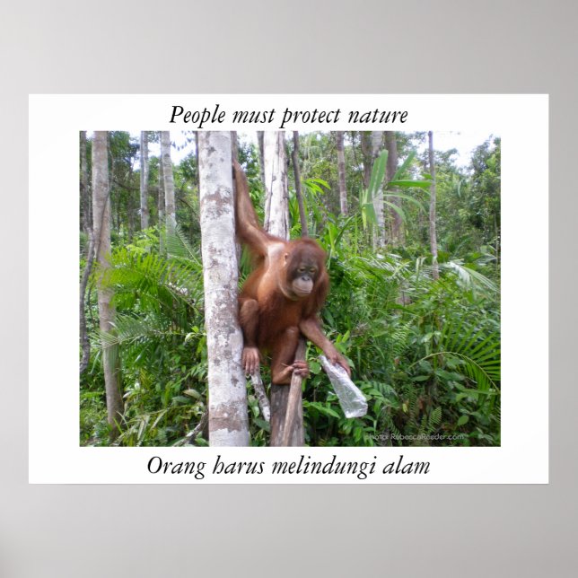 Póster Conservar la vida silvestre de la naturaleza (Frente)