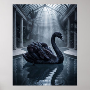 Póster Conservatorio del Cisne de Terciopelo