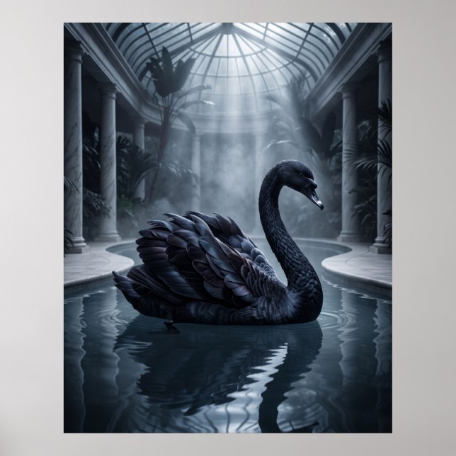 Póster Conservatorio del Cisne de Terciopelo (Frente)