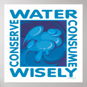 Póster Conserve Water