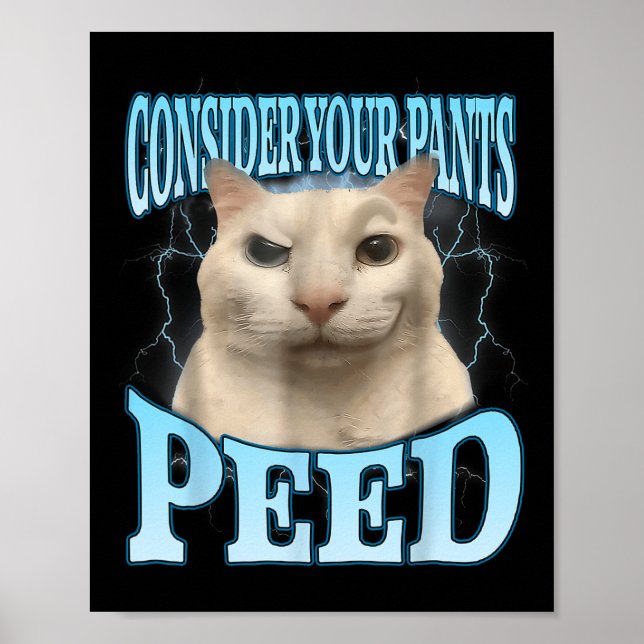 Póster Consider Your Pants Peed Funny Freak Cat Meme Humo (Frente)